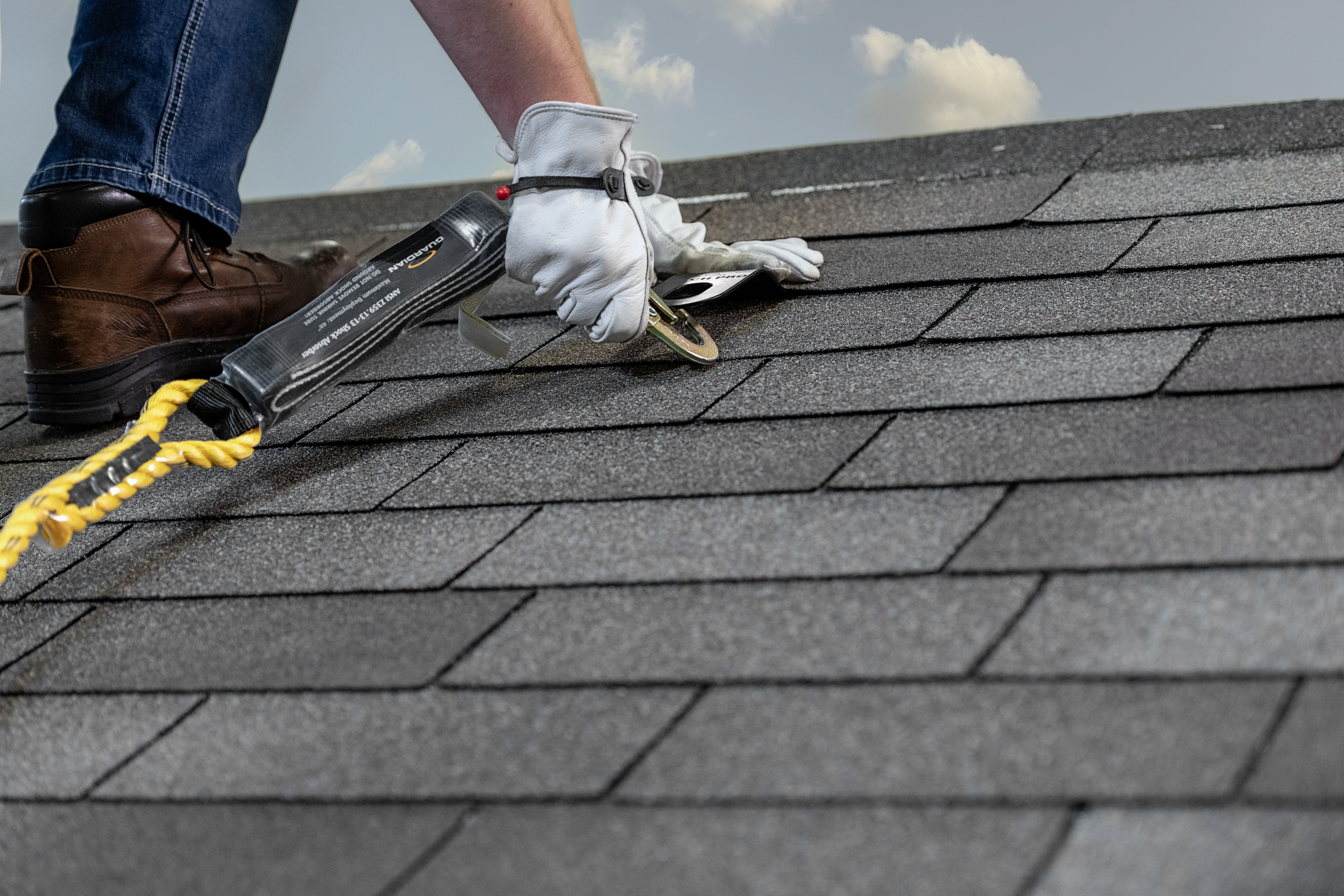 10545-Pitch+Pro+(25+Pack)+